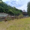 Staccionata-recinzione-castagno-Universo-Legno Staccionate - Legname in CASTAGNO scortecciato